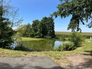 Prodej chalupy, Ratboř, 161 m2