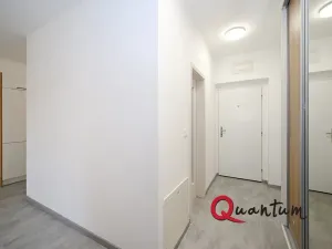 Pronájem bytu 2+kk, Praha, Remízková, 53 m2