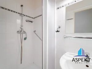 Pronájem bytu 2+1, Praha - Vinohrady, Lužická, 66 m2