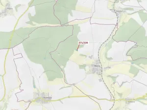 Dražba lesa, Milavče, 1643 m2