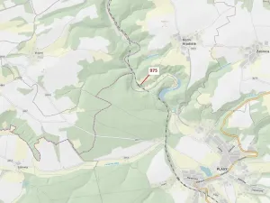 Dražba lesa, Plasy, 1287 m2