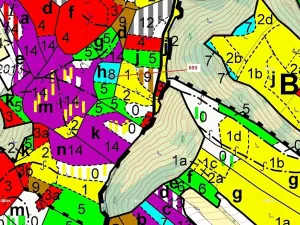 Dražba lesa, Žďárec, 2813 m2