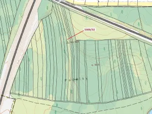 Dražba lesa, Bzenec, 4949 m2