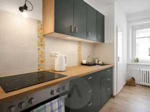 Prodej bytu 2+1, Brno, Tábor, 58 m2