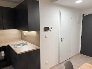 Pronájem bytu 1+kk, Praha - Smíchov, Plzeňská, 41 m2