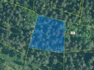 Dražba lesa, Kuřimany, 1722 m2