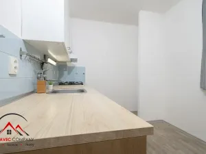 Pronájem bytu 1+1, Ostrava, Newtonova, 41 m2