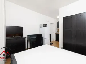 Pronájem bytu 1+kk, Ostrava, Cihelní, 17 m2