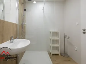 Pronájem bytu 1+kk, Ostrava, Cihelní, 17 m2