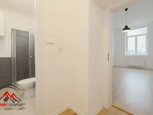 Pronájem bytu 1+kk, Ostrava, Palackého, 29 m2