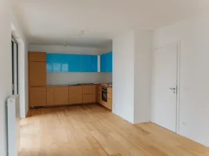 Pronájem bytu 2+kk, Brno, Bratislavská, 57 m2