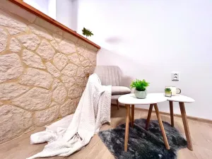 Prodej bytu 1+1, Praha - Žižkov, Biskupcova, 29 m2