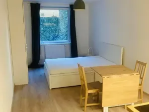 Pronájem bytu 1+kk, Praha - Vršovice, Kubánské náměstí, 25 m2