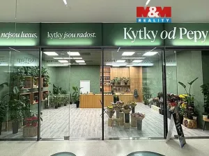 Pronájem obchodního prostoru, Brno - Brno-město, náměstí Svobody, 64 m2