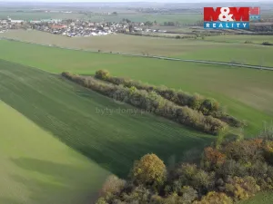 Prodej lesa, Kočí, 5803 m2