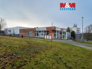 Pronájem obchodního prostoru, Ústí nad Labem - Severní Terasa, Šrámkova, 181 m2