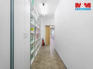 Pronájem obchodního prostoru, Ústí nad Labem - Severní Terasa, Šrámkova, 181 m2