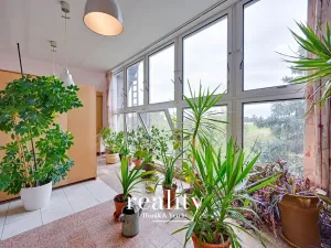 Prodej rodinného domu, Hodonice, 480 m2