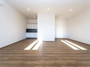 Pronájem bytu 1+kk, Praha - Nové Město, Lípová, 48 m2