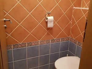 Pronájem bytu 2+kk, Klecany, V Honech, 45 m2