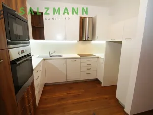 Prodej bytu 2+kk, Plzeň, Divadelní, 57 m2