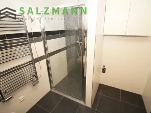 Prodej bytu 2+kk, Plzeň, Divadelní, 57 m2