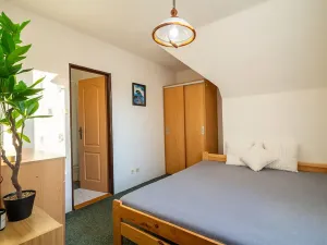 Prodej ubytování, Strážné, 450 m2