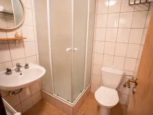 Prodej rodinného domu, Strážné, 450 m2