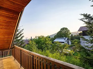 Prodej rodinného domu, Strážné, 450 m2