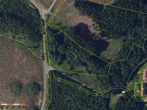 Prodej lesa, Česká Bělá, 7690 m2