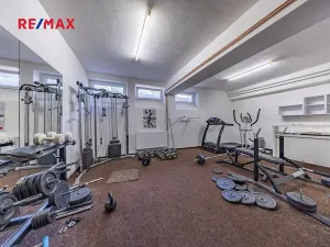 Prodej rodinného domu, Doksy, Pod Borným, 1700 m2