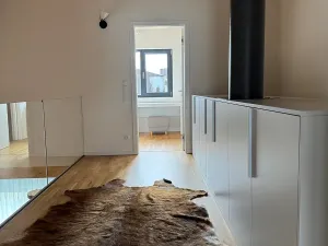 Prodej rodinného domu, Loučná pod Klínovcem, 180 m2