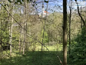 Prodej pozemku pro bydlení, Branná, 7409 m2