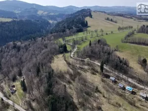 Prodej pozemku pro bydlení, Branná, 7409 m2