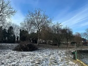 Prodej pozemku pro bydlení, Chotilsko, 4700 m2