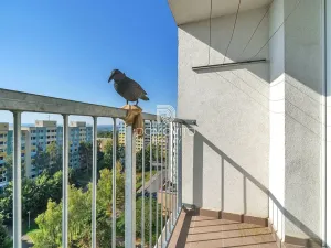 Pronájem bytu 1+1, Praha - Chodov, Zdiměřická, 42 m2