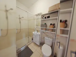 Pronájem bytu 2+1, České Budějovice, L. B. Schneidera, 54 m2