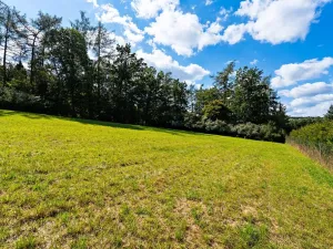 Prodej pozemku pro bydlení, Plasy, 3866 m2