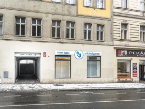 Pronájem obchodního prostoru, Praha - Žižkov, Husitská, 135 m2