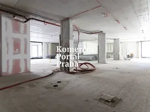 Pronájem restaurace, Praha - Nusle, Lomnického, 470 m2