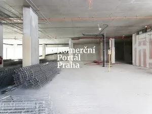 Pronájem restaurace, Praha - Nusle, Lomnického, 470 m2