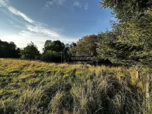 Prodej pozemku pro bydlení, Nová Ves, 6642 m2