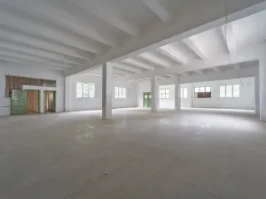 Pronájem výrobních prostor, Jílové u Prahy, 700 m2