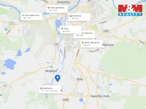 Pronájem bytu 4+1, Radošovice, 93 m2