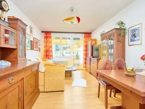 Prodej bytu 3+kk, Borek, Družstevní, 67 m2