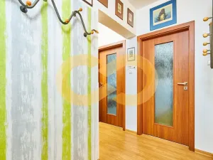 Prodej bytu 3+kk, Borek, Družstevní, 67 m2