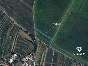 Prodej pole, Mutěnice, 1151 m2