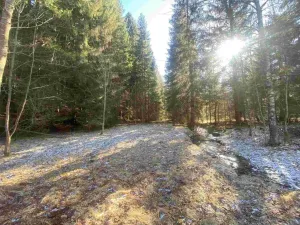 Prodej pozemku, Čachrov - Javorná, 10377 m2