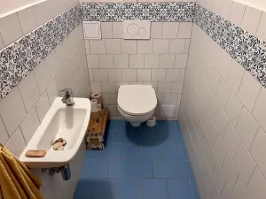 Prodej rodinného domu, Orlické Podhůří, 267 m2