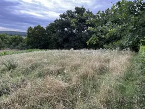 Prodej zahrady, Oslavany, 3447 m2